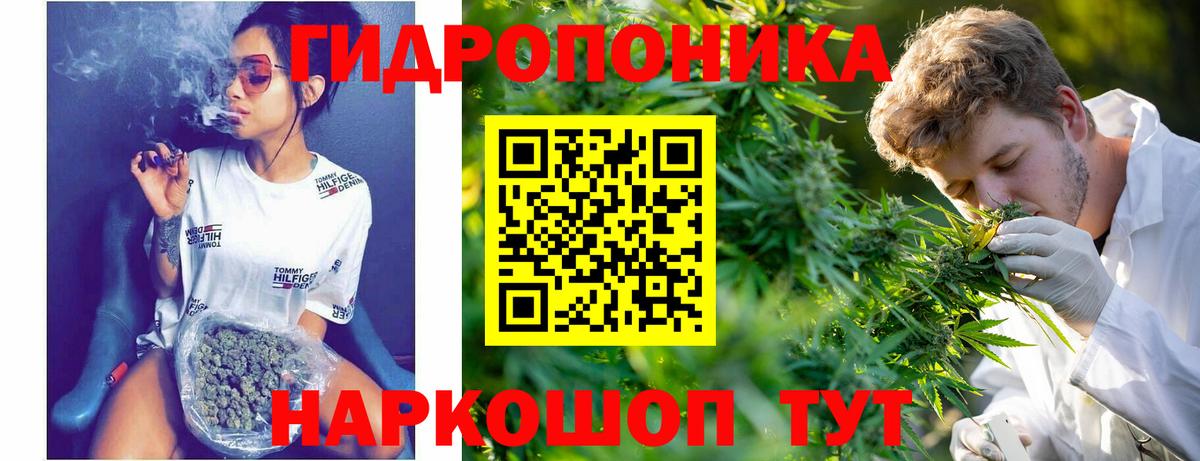 Шишки марихуана AK-47  Каннабис план  Карачаевск  Каннабис AK-47  Конопля LSD WEED  Вход с VPN 